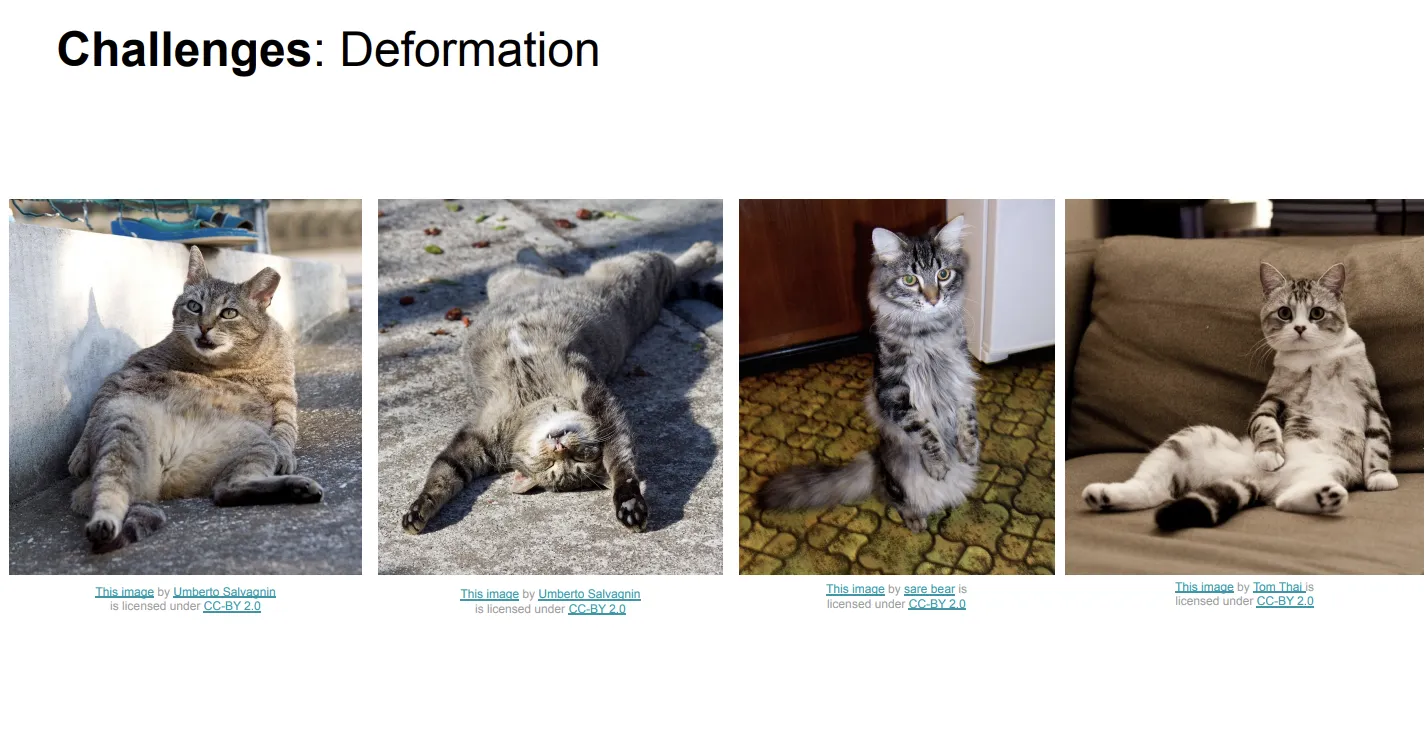 deformation