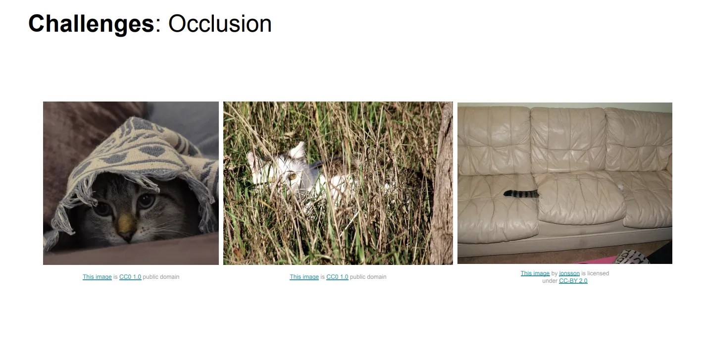 occlusion